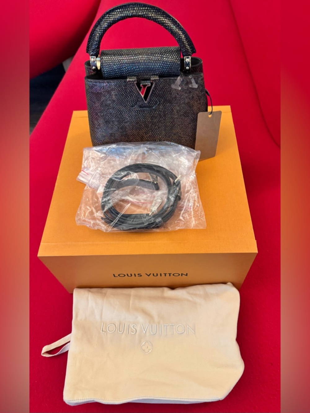 Louis Vuitton Capucines Mini Bag crafted from black leather with Lizard skin.